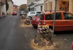 RIVAROLO - Polemica alberi: «Entro fine anno saranno ripiantati»