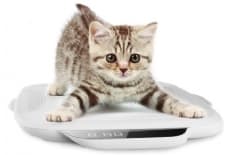 PET - La bilancia-veterinario per il micio di casa
