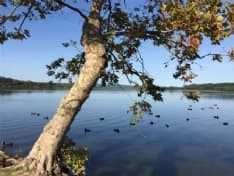 CANDIA CANAVESE - Il Parco provinciale del Lago compie 25 anni: è nato il primo marzo del 1995