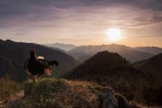 PNGP - Proclamati i vincitori del concorso internazionale "Fotografare il Parco"