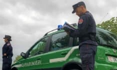 BORGOFRANCO D'IVREA - Abbandona l'auto in un campo: denunciato dai carabinieri forestali