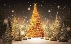 CANAVESE - Tutte le feste di Natale minuto per minuto