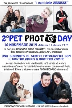 RIVAROLO - Un contest fotografico per aiutare l'associazione «Le Vibrisse» e i gatti meno fortunati