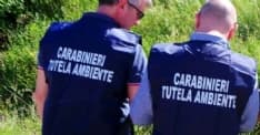 BORGARO - 1000 tonnellate di rifiuti nel capannone sequestrato dai carabinieri - VIDEO