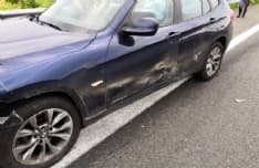 SAN GIORGIO CANAVESE - Auto contro cinghiale sulla Torino-Aosta: 33enne ferito. L'animale, invece, è morto - FOTO