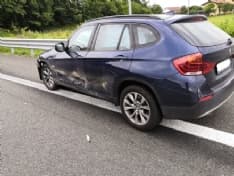 SAN GIORGIO - Auto investe un cinghiale. La Lega: «Incidenti anche frutto dell'ecologismo di facciata»