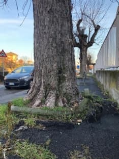 CUORGNE' - Partono i lavori per sistemare i controviali di via Brigate