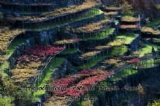 CASTELLAMONTE - Le bellezze del Canavese nelle foto del pontese Luca Fassio