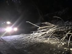 VALLE SOANA - Neve abbondante, saltano le linee elettriche e telefoniche. Alberi abbattuti, vigili del fuoco al lavoro - FOTO