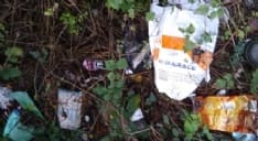 CANAVESE - Maiali in azione vicino ai corsi d'acqua: discariche abusive lungo il Malesina e l'Orco - FOTO e VIDEO