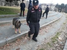 DROGA - Il fiuto del cane Quark scova 2000 dosi di stupefacente - VIDEO