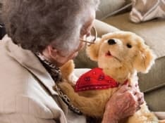 CURIOSITA' - Il negozio di giocattoli per la terza età