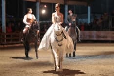 IVREA - «Cavalli in città», la Festa Patronale di San Savino è ad una svolta