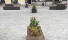 IVREA - Le nuove panchine sembrano bare: nessuno ci si siede