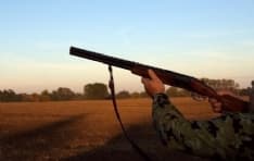 CANAVESE - Domenica all'alba inizia la stagione di caccia: si spara ai cinghiali