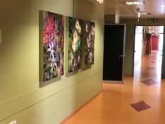 IVREA - L'arte entra in ospedale: rinnovato il reparto ostetricia e ginecologia con quadri, musica e aromaterapia