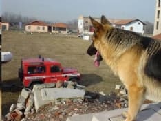 VOLPIANO - L'esercitazione diventa realtà: cinofili salvano un uomo