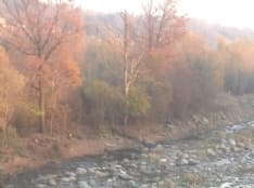 CUORGNE' - Via detriti e vegetazione dall'Orco per evitare alluvioni