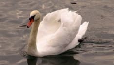 Una storia da raccontare