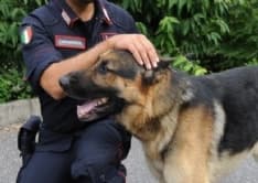 SICUREZZA - Il cane Ares di Volpiano scopre le armi nascoste