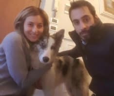 CERESOLE REALE - Ritrovato il cane Neve: un'altra storia a lieto fine