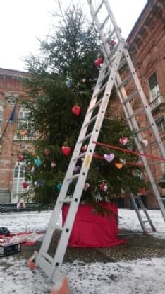 AGLIE' - Il Comitato Tutela Salute e Ambiente addobba l'albero del castello e lancia lo scrigno della fiducia