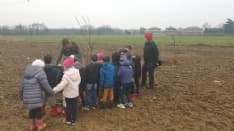 VOLPIANO - Nasce il frutteto comunitario: lo curerà tutta la città