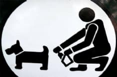 BORGARO - «Chi raccoglie semina civiltà a Borgaro»: ecco il contest