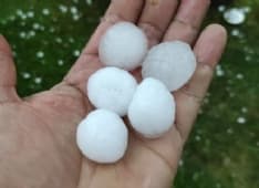 CANAVESE - Grandine: incalcolabili i danni alle coltivazioni e soprattutto ai vigneti