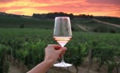 LIBRI – Il Golosario Wine Tour