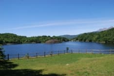 AMBIENTE - Otto aree protette del Canavese passano alla Città metropolitana di Torino