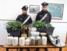 BALDISSERO CANAVESE - Serra artigianale in casa per coltivare marijuana: 37enne denunciato