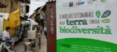 SAN GIORGIO CANAVESE - Il Mercato Settimanale della Terra e della Biodiversità cuore del paese