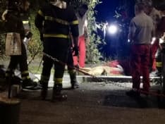 RIVAROLO CANAVESE - Vigili del fuoco si gettano nella roggia per salvare un cucciolo di capriolo - FOTO