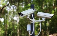 AGLIE' - Telecamere contro i maiali che abbandonano i rifiuti