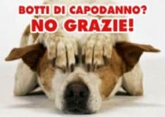 CUORGNE'-CASTELLAMONTE - I sindaci: «Meno botti a Capodanno»