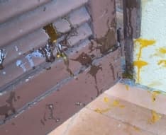 FELETTO - Lancio di uova contro la casa, l'allarme dei proprietari: ora indaga la polizia locale