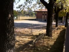CASTELLAMONTE - Sterco di capra nel cortile della scuola: polemiche