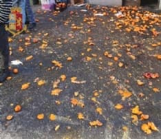 IVREA - Battaglia delle arance «fai da te» nel cortile del condominio: interviene la polizia. Multati in sette per assembramento