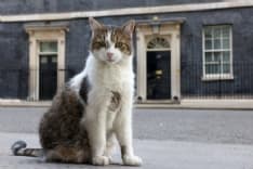 PET – Tanti auguri a Larry, il gatto di Downing Street