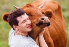 PET - La vacca da relax