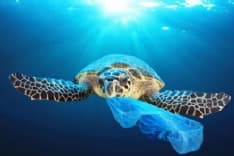 IVREA - L'istituto Giovanni Cena vara il progetto «Plastic Free»
