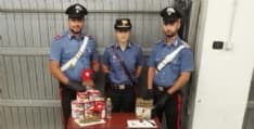 FAVRIA - Litiga con i vicini e i carabinieri gli scoprono in casa una piantagione di marijuana - FOTO