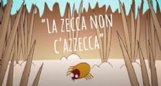 CANAVESE - «La zecca non c'azzecca»: qualche consiglio per difendersi dai fastidiosi insetti - VIDEO