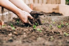 CUORGNE' - 207 donazioni per l'orto sociale di Andirivieni: raccolti più di 18 mila euro per il progetto