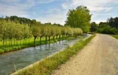 CANAVESE - Runner alle prese con i cani liberi: altre segnalazioni a Bairo, Castellamonte, Agliè