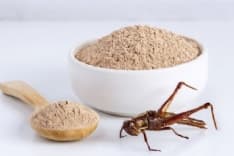 LEINI' - Unbugged, un'idea «Made in Canavese» per trovare dove mangiare senza farina di grillo e cibi sintetici