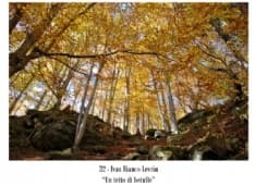 INGRIA - Il concorso fotografico scalda i motori della festa patronale - FOTO