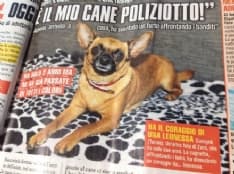 CUORGNÈ - Il cane mette in fuga i ladri e diventa una piccola star