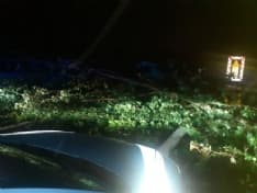 CANAVESE - Ondata di temporali nella notte, danni e alberi abbattuti: raffiche di vento oltre i 100 chilometri orari - FOTO